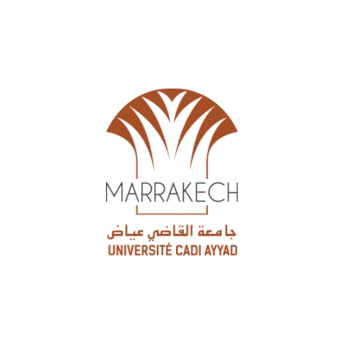 Cadi-Ayyad University